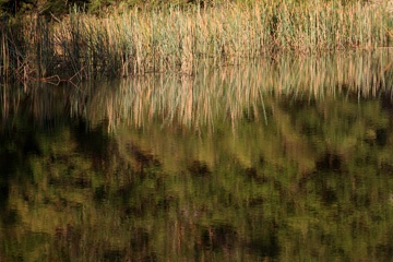 IMG_9579a2.jpg